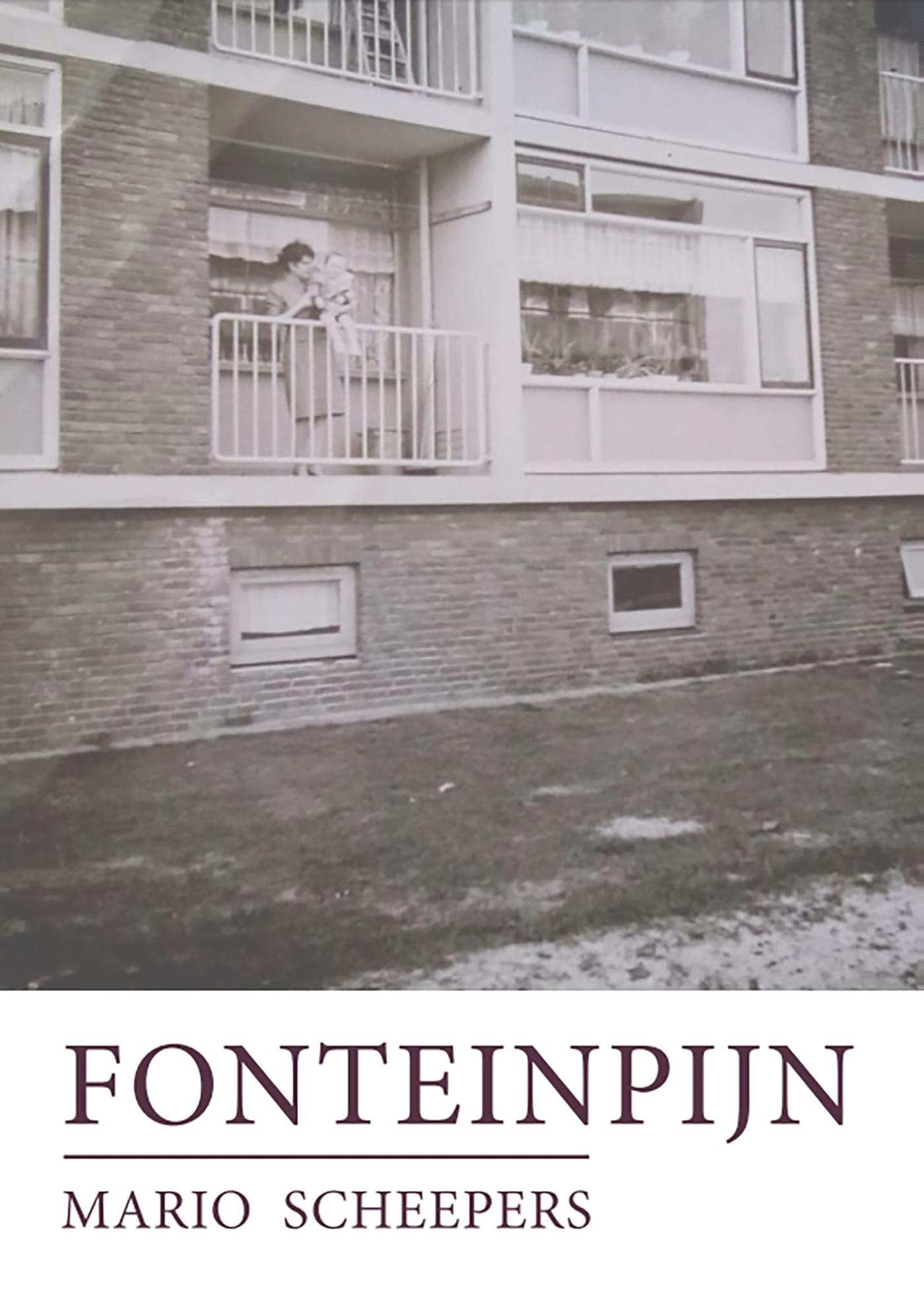 Omslag van Fonteinpijn