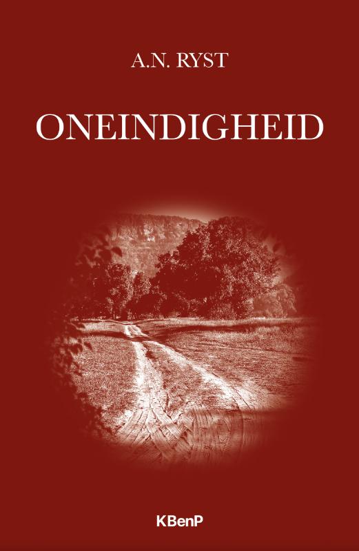 Omslag van Oneindigheid