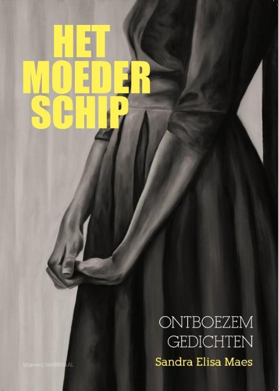 Omslag van Het moederschip