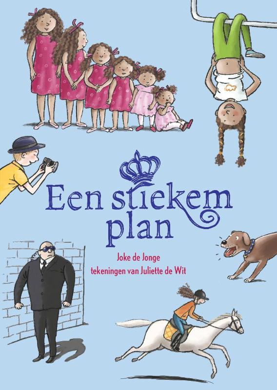 Omslag van Een stiekem plan