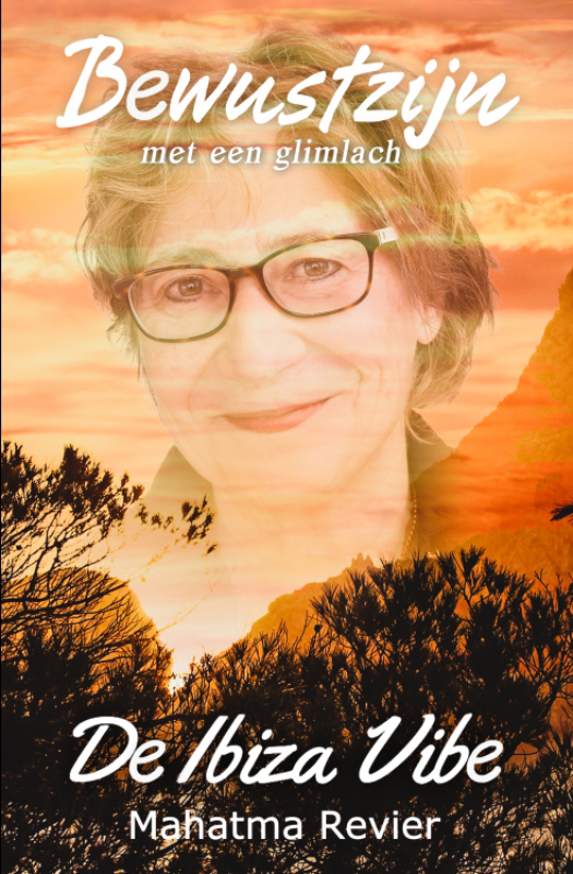 Omslag van De Ibiza Vibe
