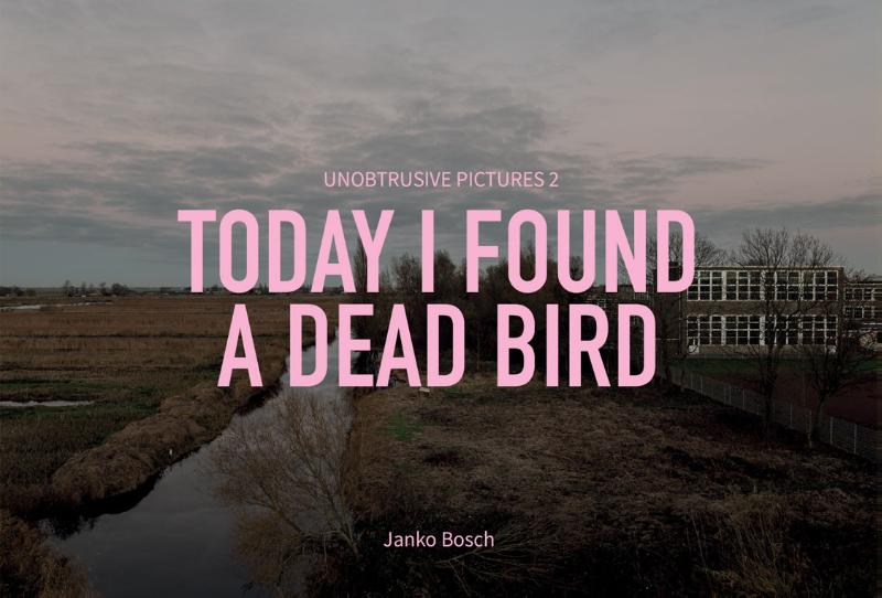 Omslag van Today I found a dead bird