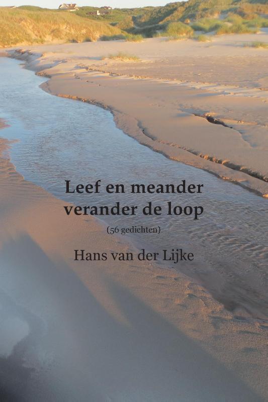 Omslag van Leef en meander - verander de loop