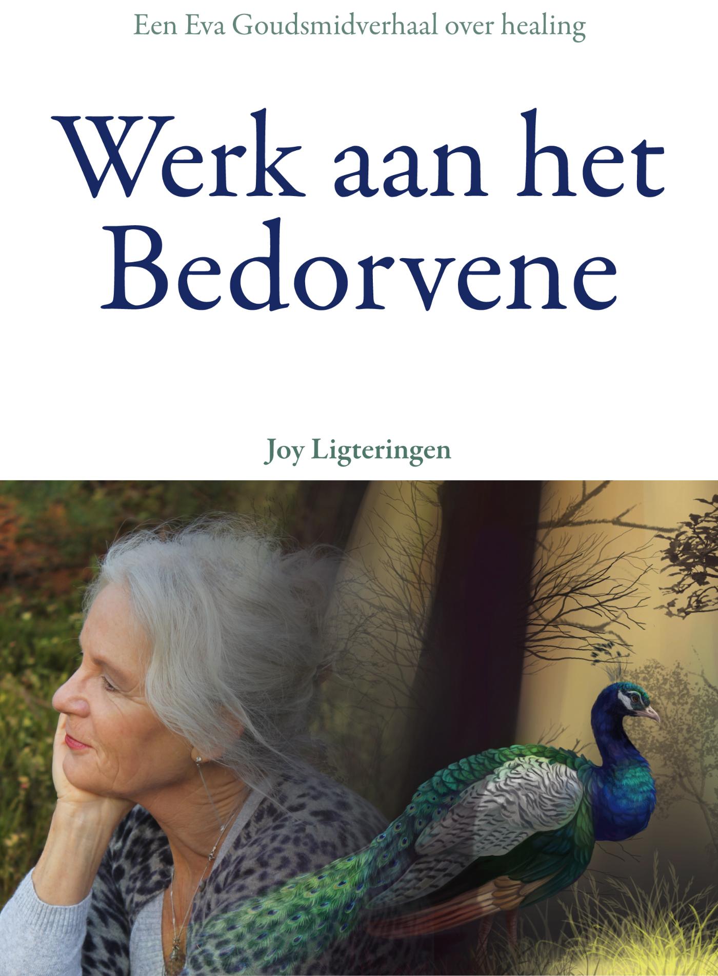 Omslag van Werk aan het bedorvene
