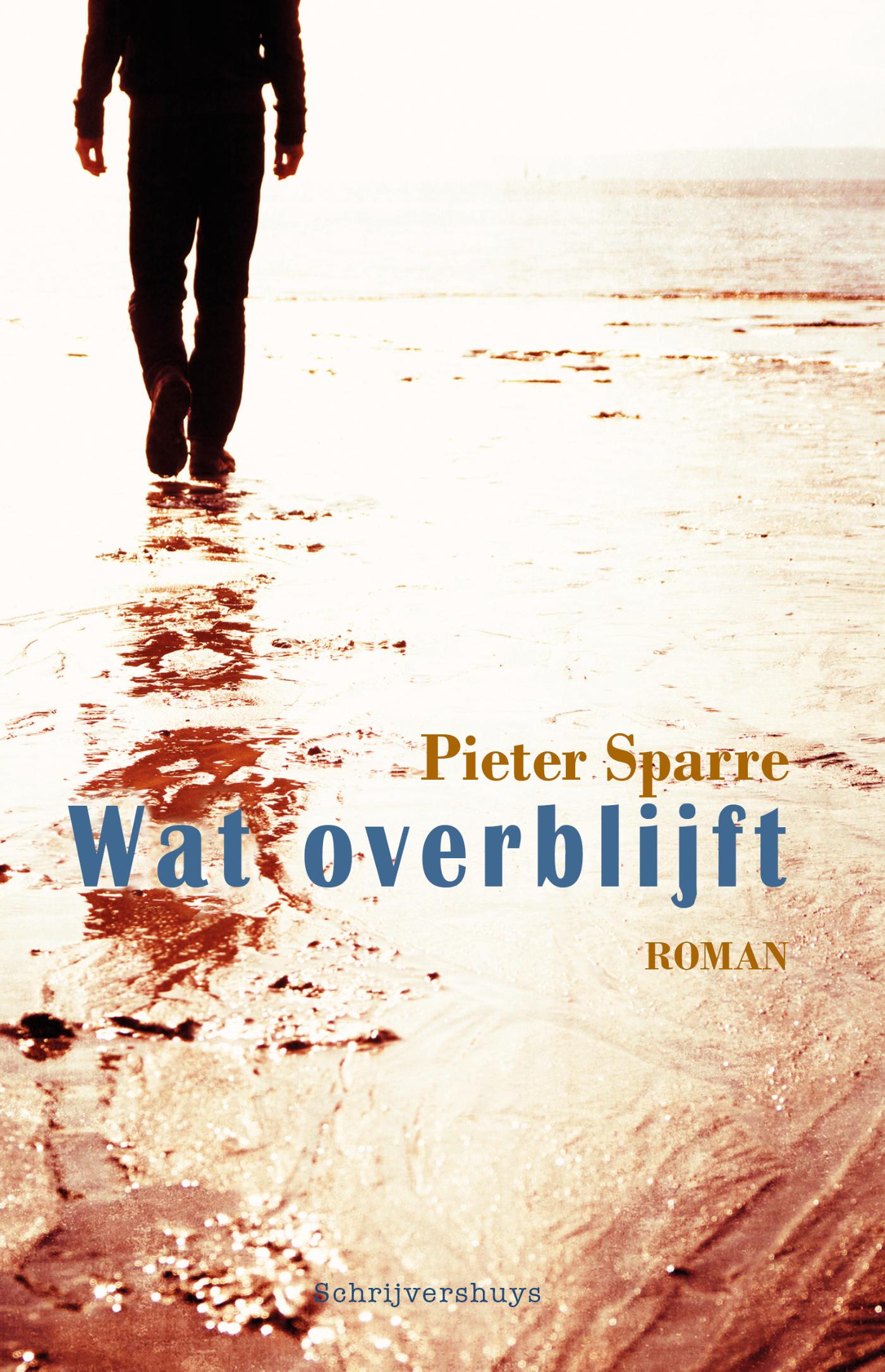 Omslag van Wat overblijft