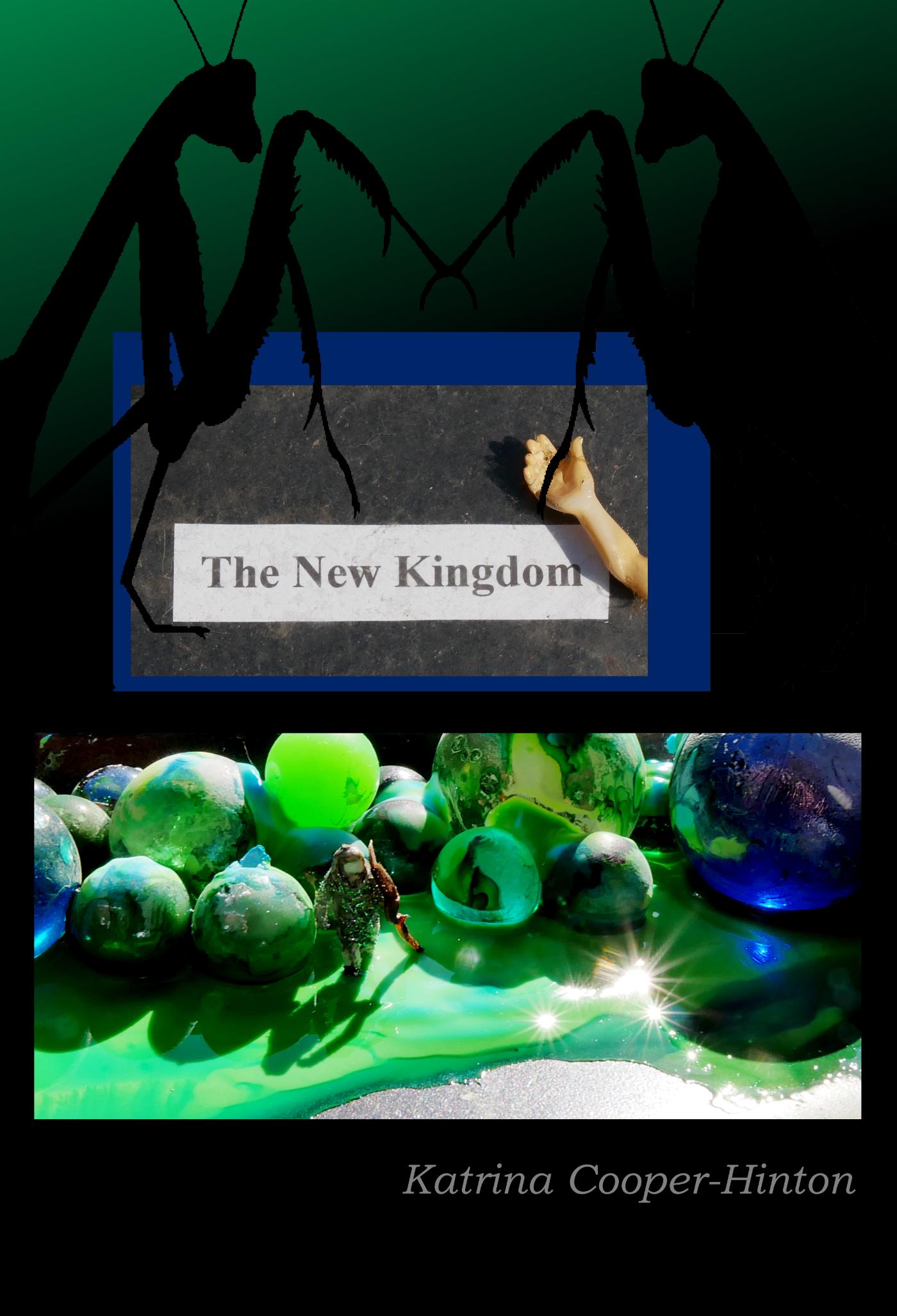 Omslag van The New Kingdom