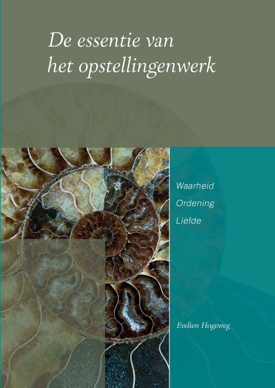 Omslag van De essentie van het opstellingenwerk