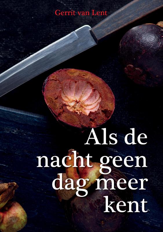 Omslag van Als de nacht geen dag meer kent.