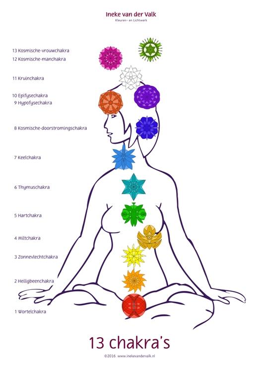 Omslag van 13 Chakra's