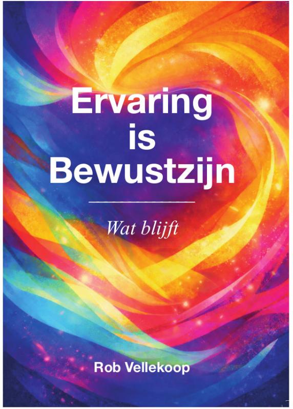 Omslag van Ervaring is bewustzijn