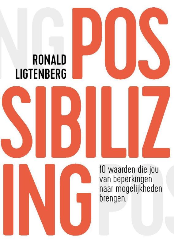 Omslag van Possibilizing