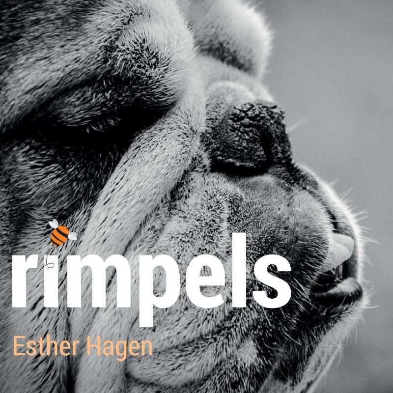 Omslag van Rimpels