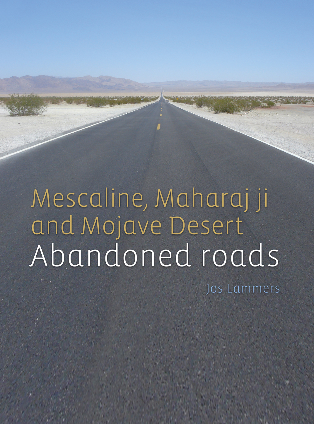 Omslag van Abandoned roads