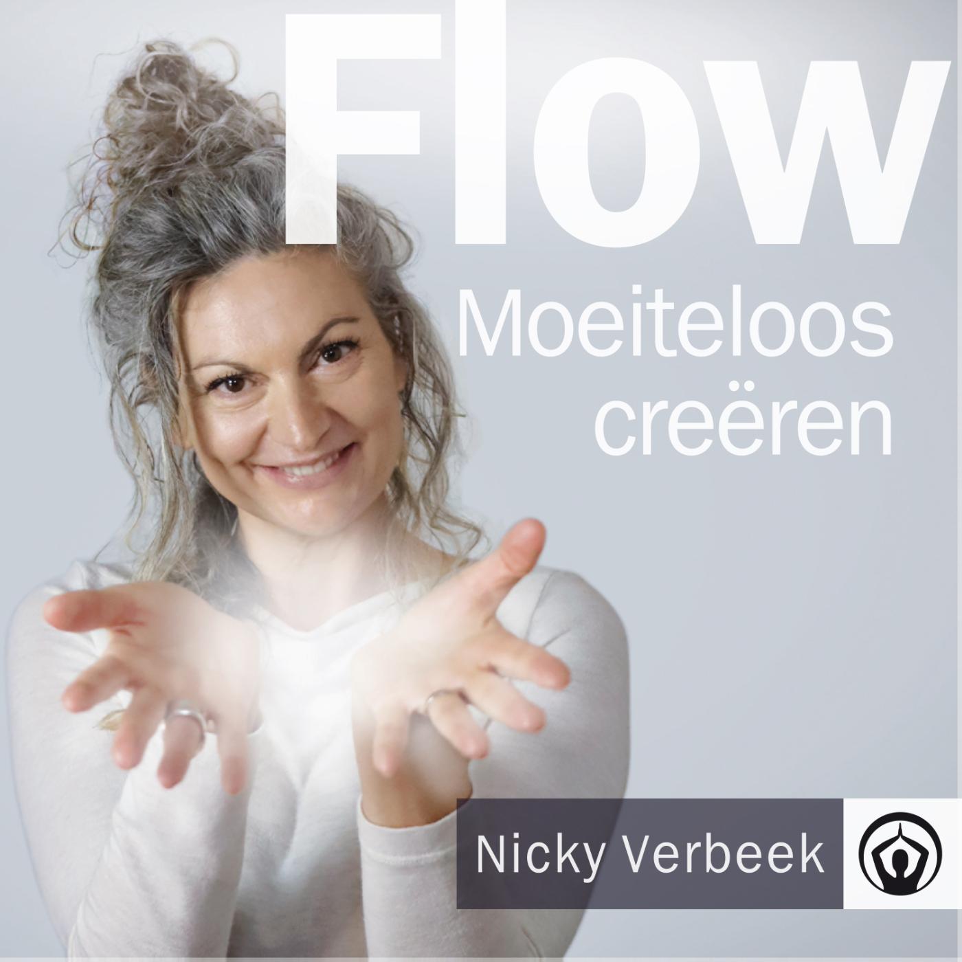 Omslag van Flow