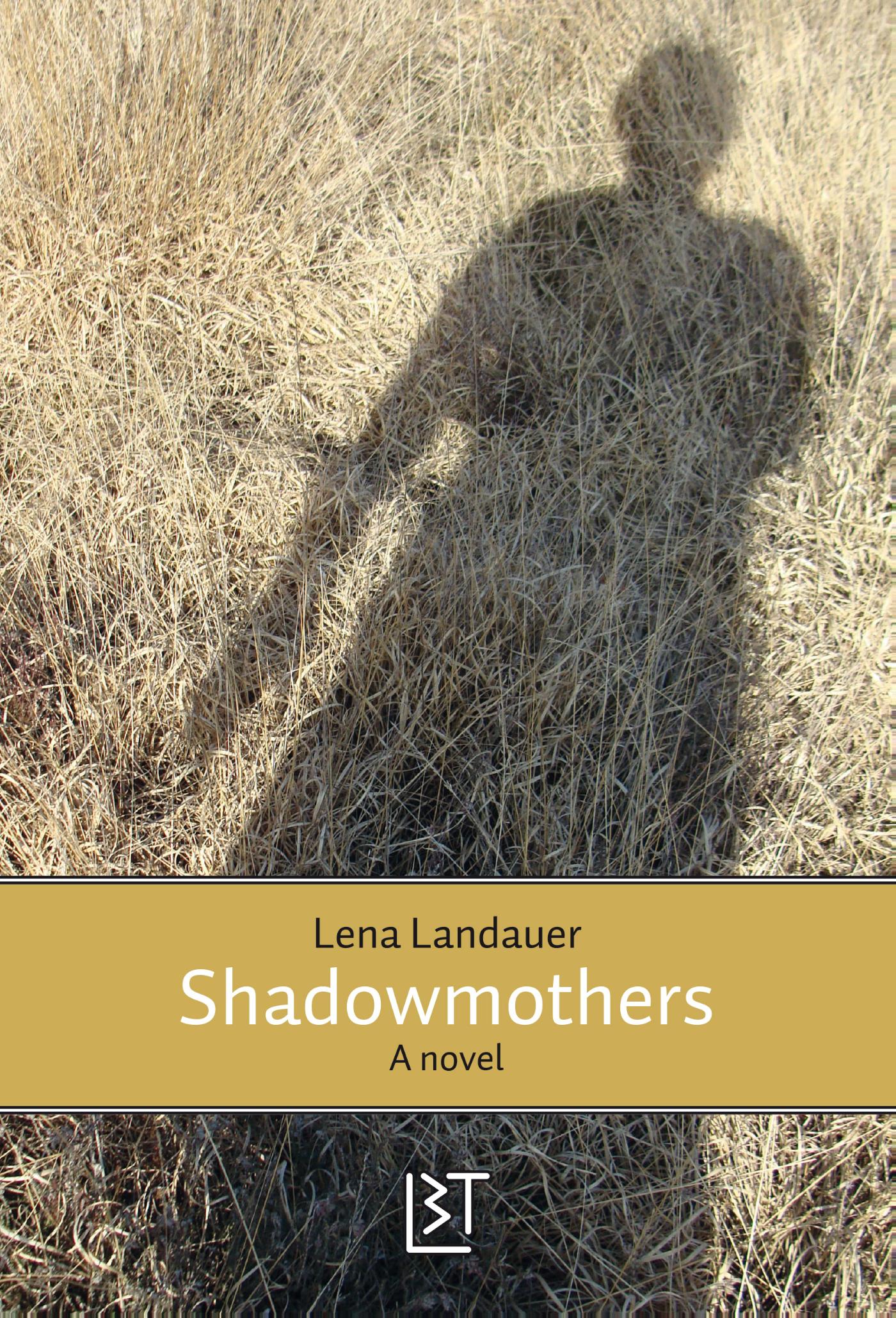 Omslag van Shadowmothers