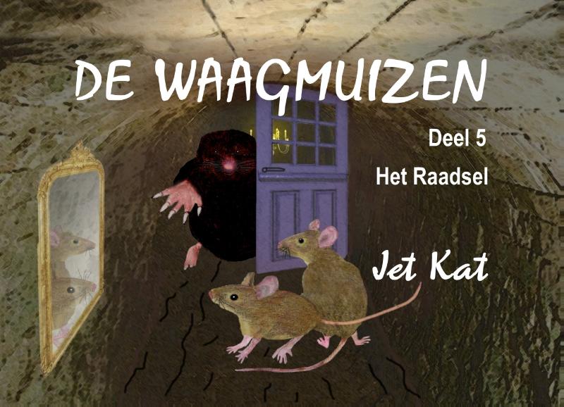 Omslag van Het Raadsel