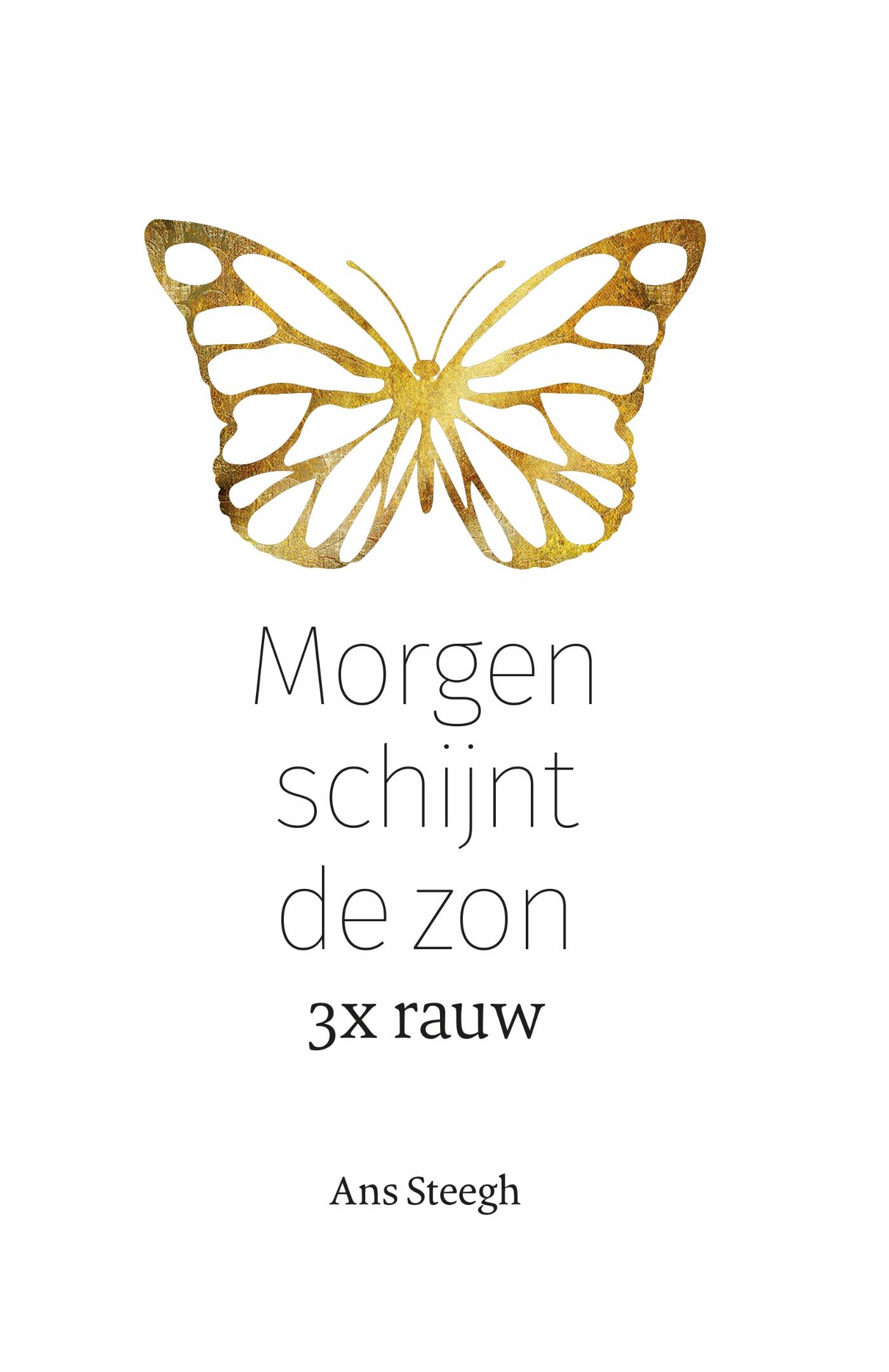 Omslag van Morgen schijnt de zon
