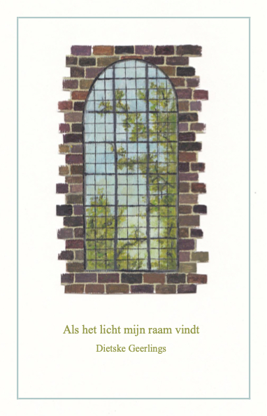 Omslag van Als het licht mijn raam vindt