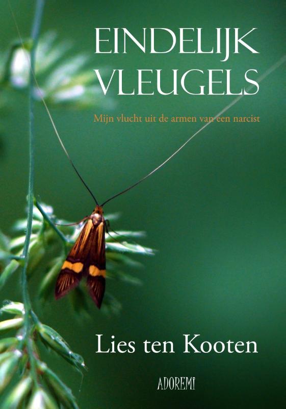 Omslag van Eindelijk vleugels