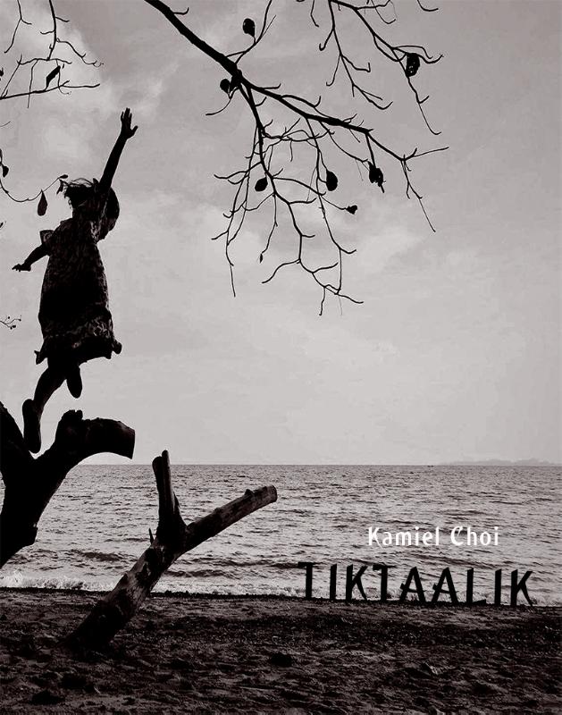Omslag van Tiktaalik