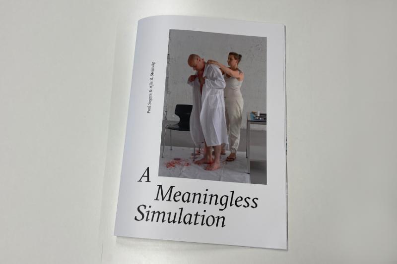 Omslag van A Meaningless Simulation