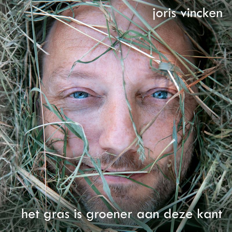 Omslag van Het gras is groener aan deze kant