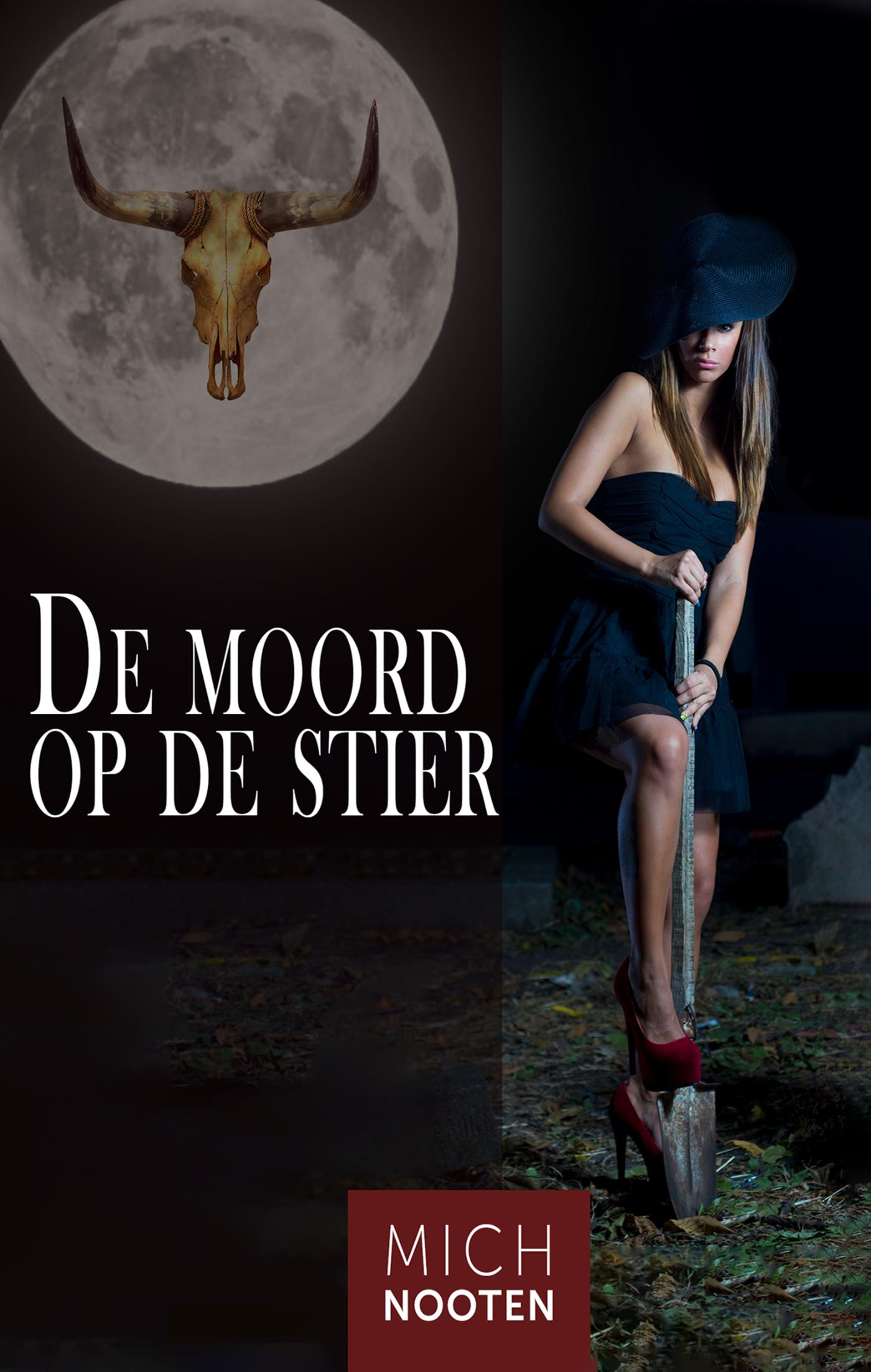 Omslag van De moord op de Stier