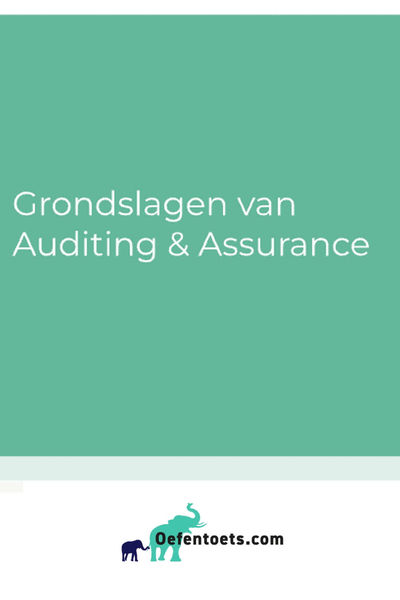 Omslag van Grondslagen van auditing en assurance