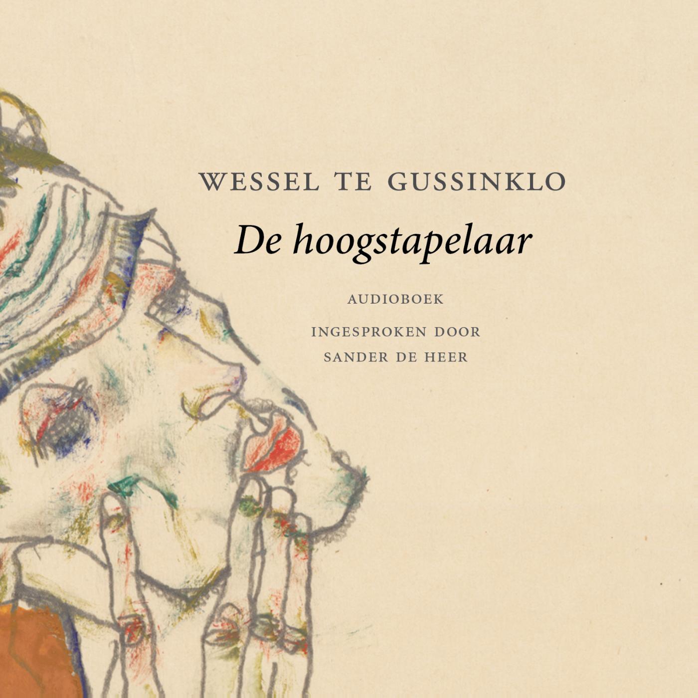 Omslag van De hoogstapelaar