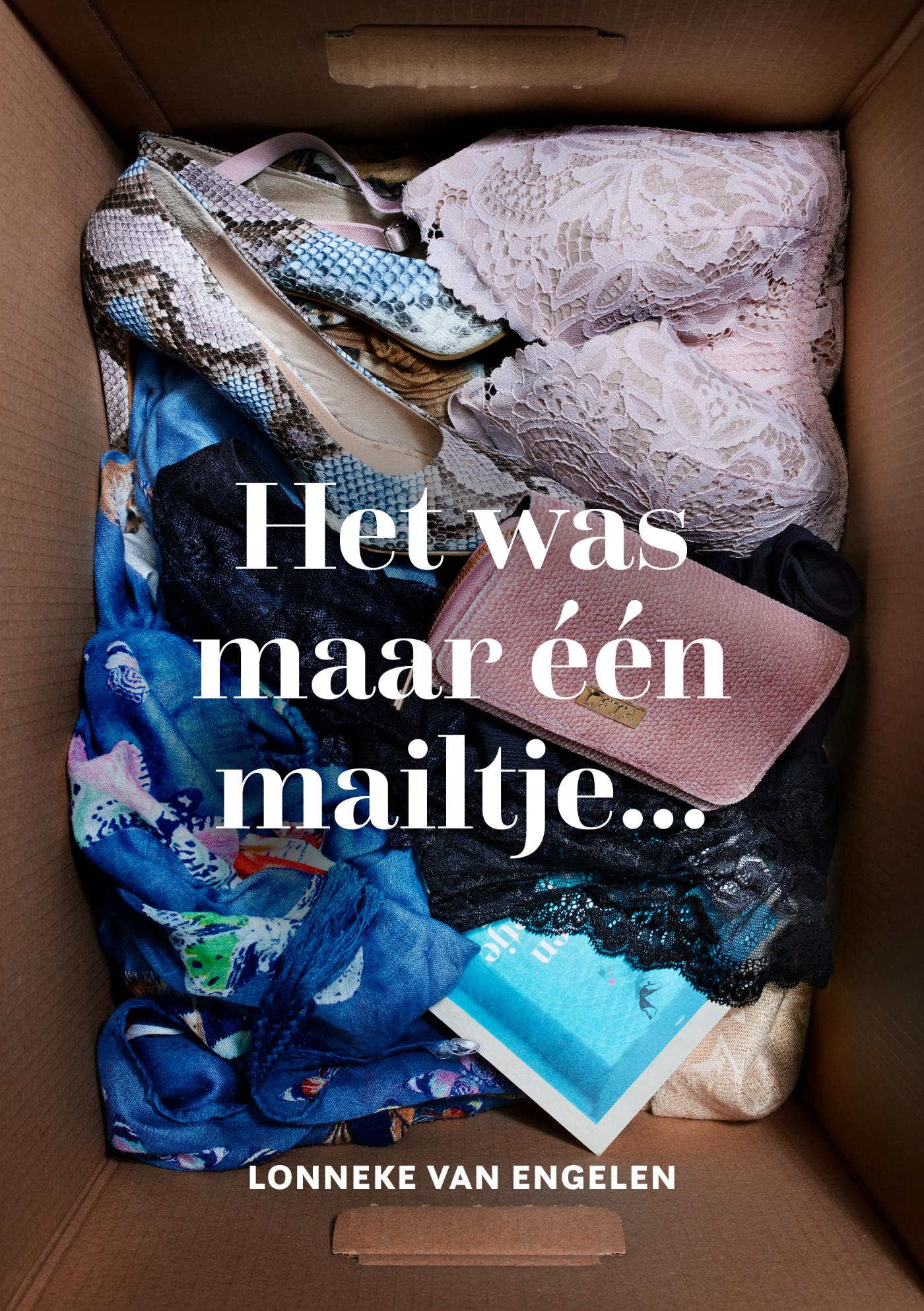 Omslag van Het was maar één mailtje...