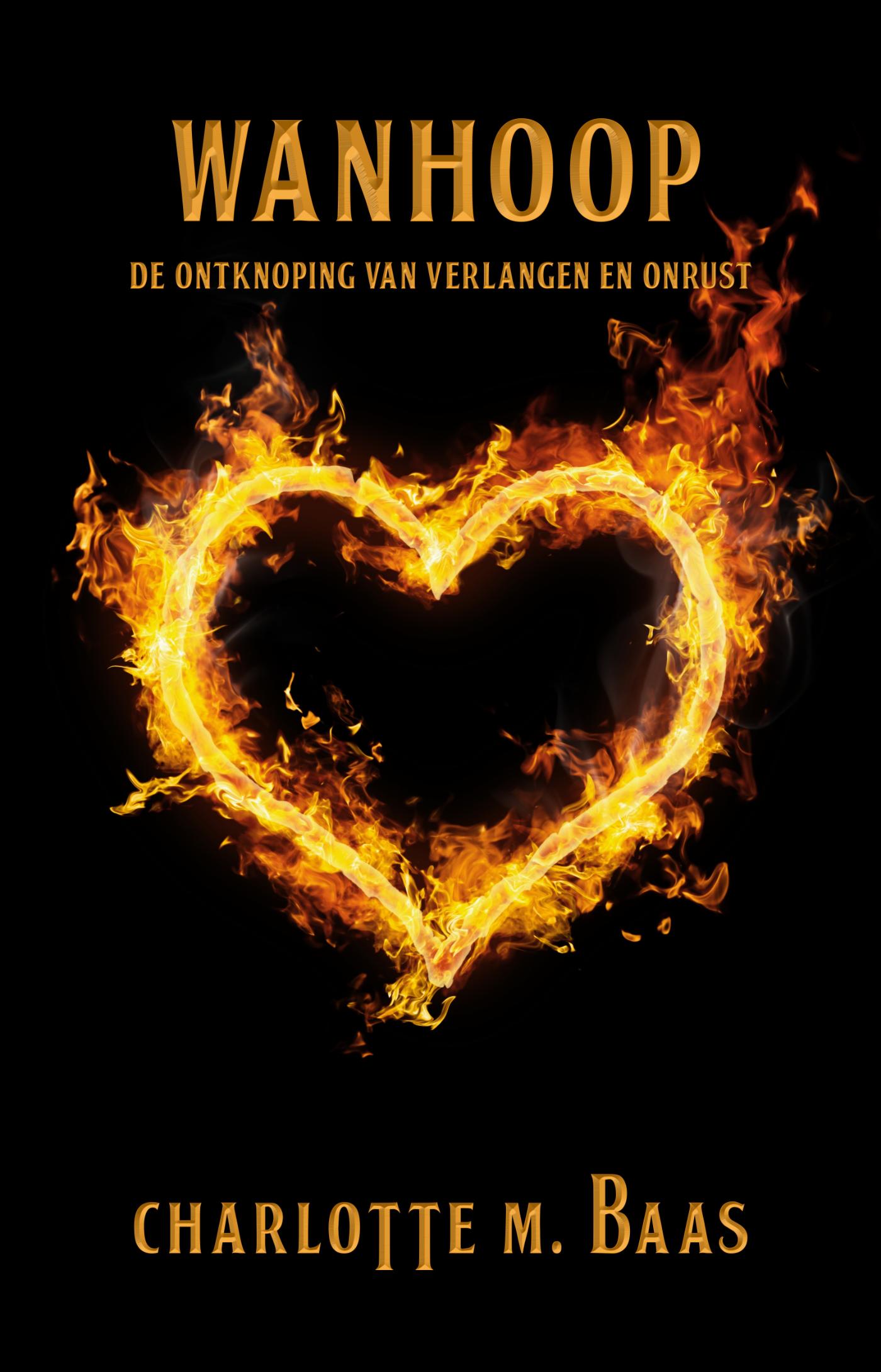 Omslag van Wanhoop