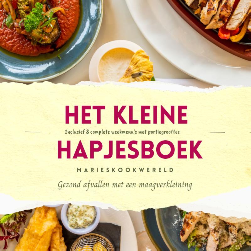 Omslag van Het kleine hapjesboek na je maagverkleining