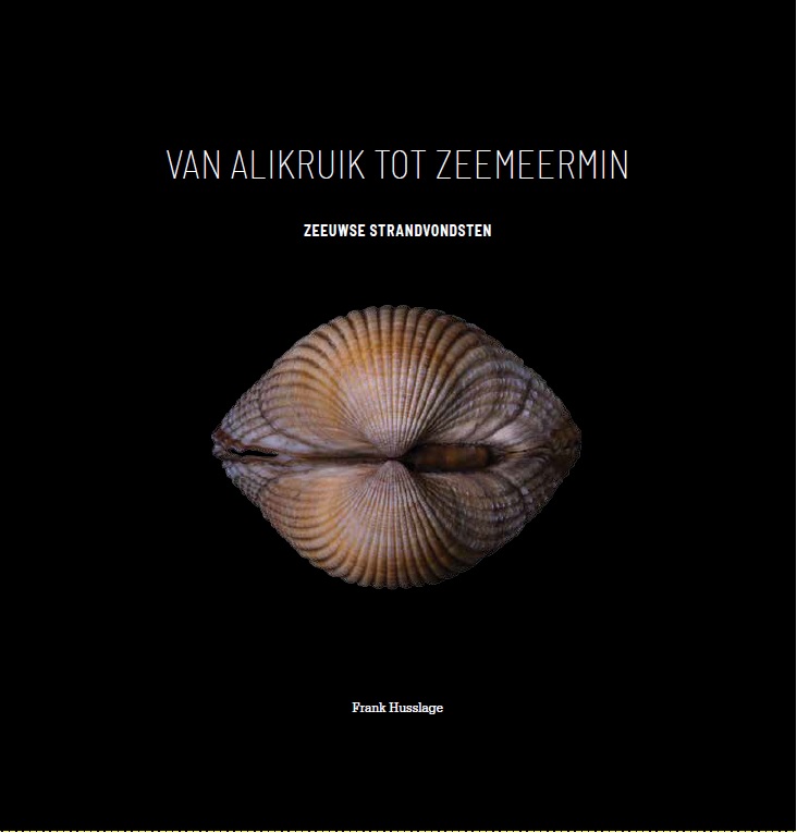 Omslag van van Alikruik tot Zeemeermin