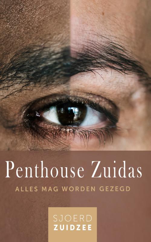 Omslag van Penthouse Zuidas