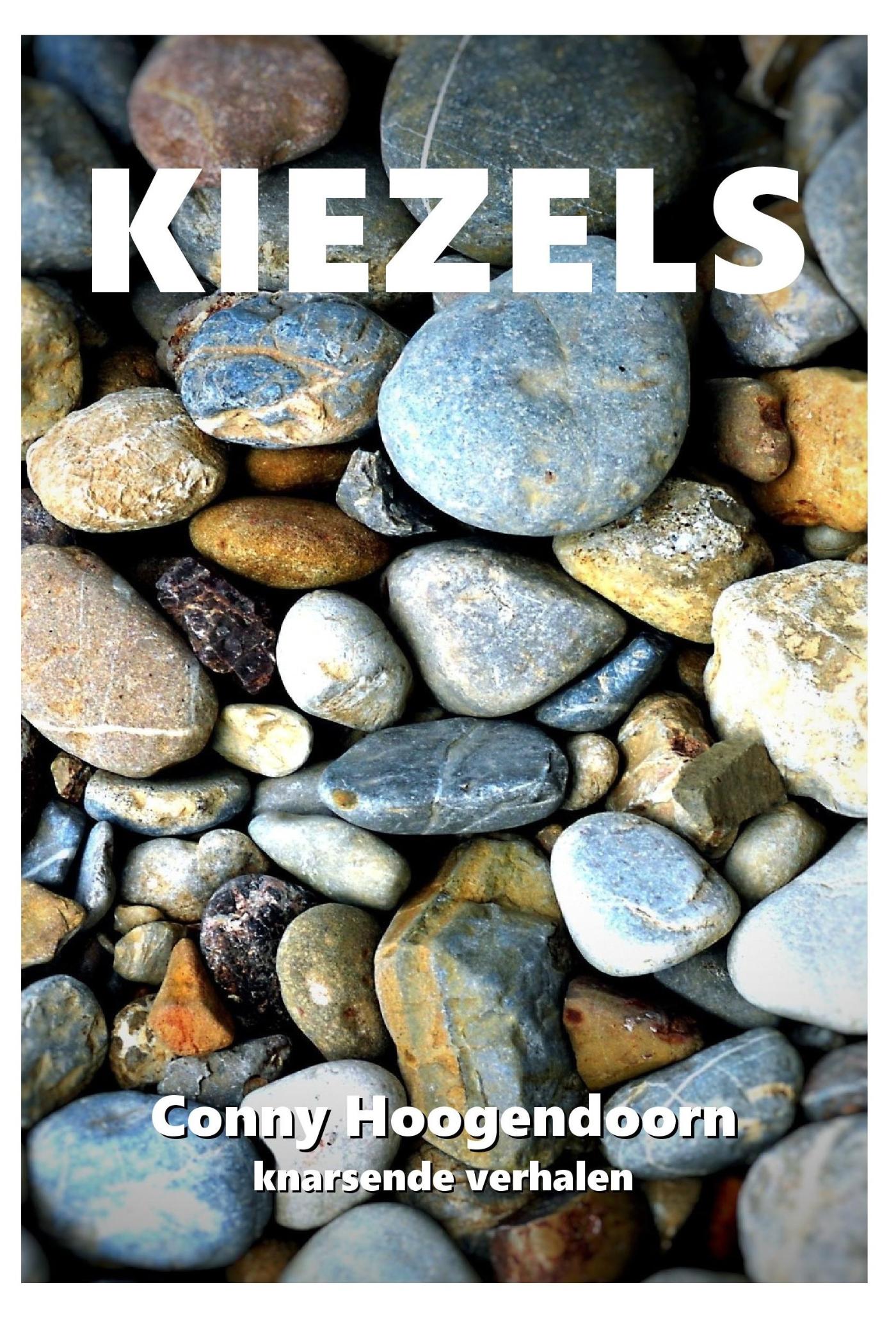 Omslag van Kiezels