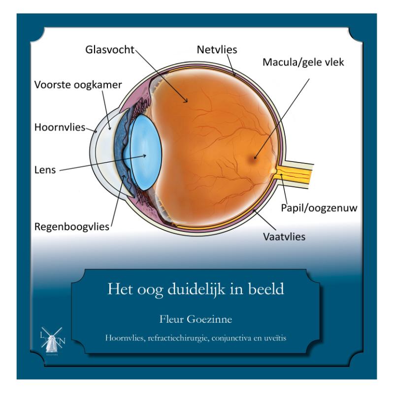 Omslag van Het oog duidelijk in beeld