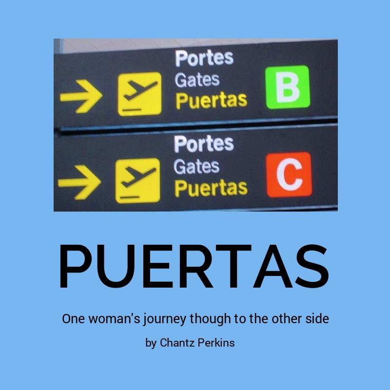 Omslag van Puertas