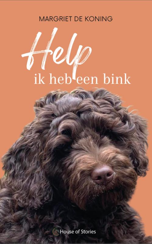 Omslag van Help ik heb een bink