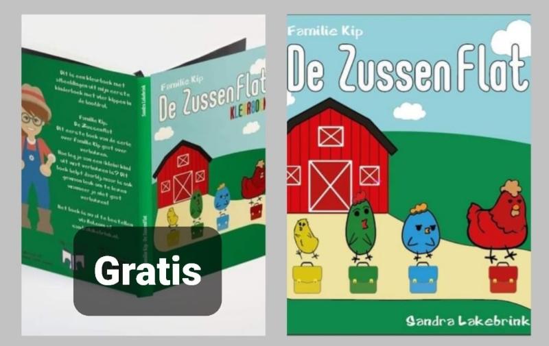 Omslag van De Zussenflat