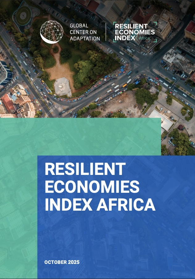 Omslag van Resilient Economies Index Africa