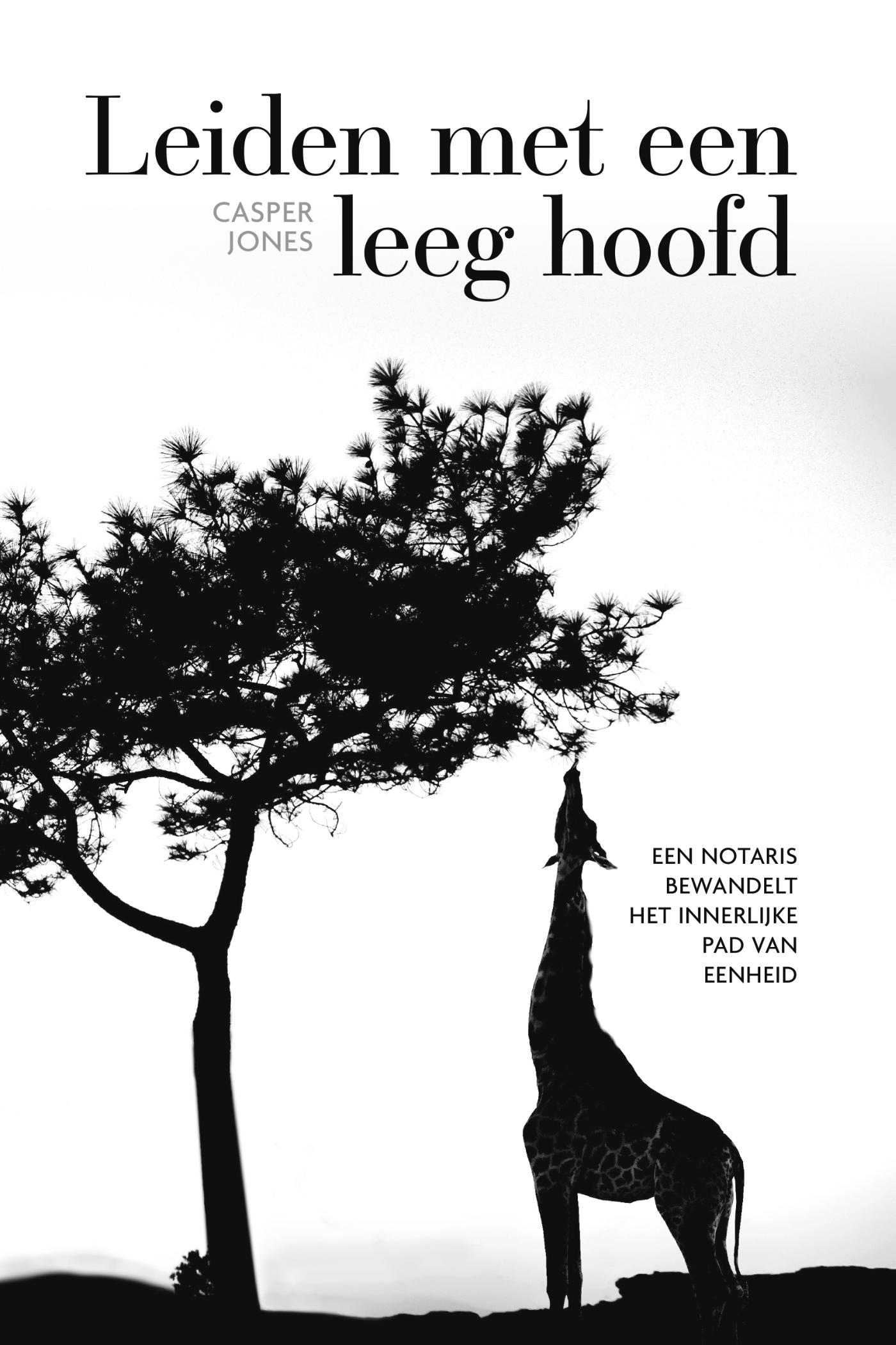 Omslag van Leiden met een leeg hoofd