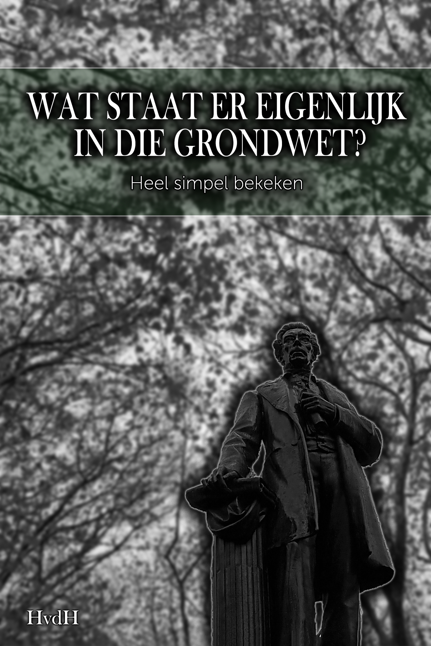 Omslag van Wat staat er eigenlijk in die grondwet?