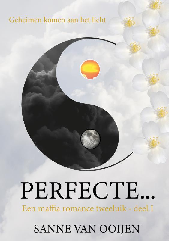 Omslag van Perfecte...