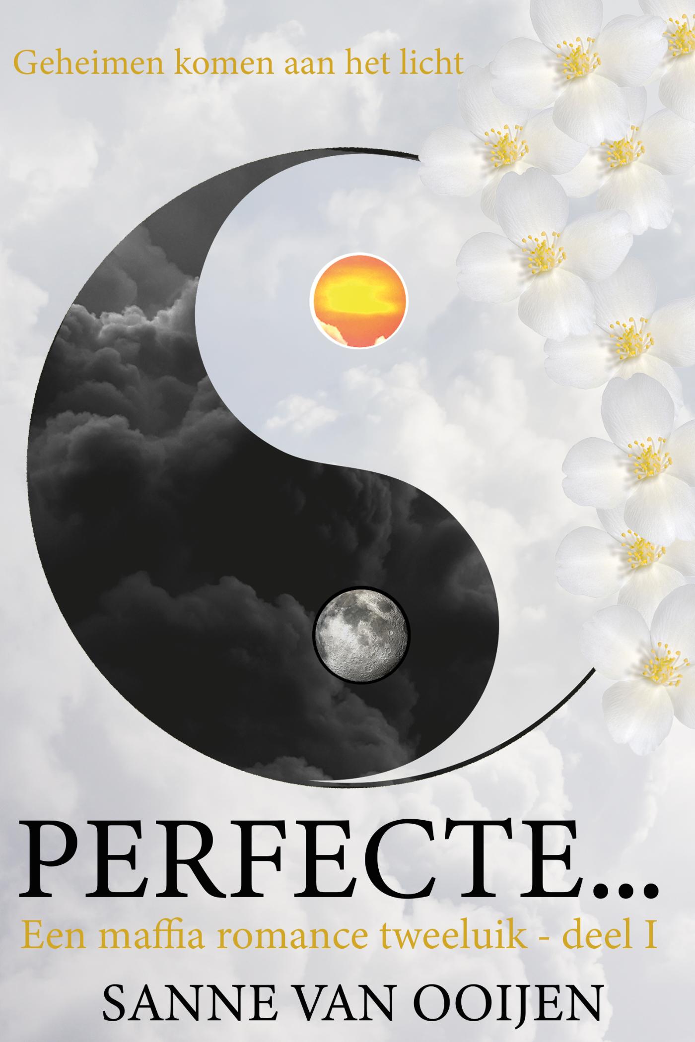 Omslag van Perfecte...