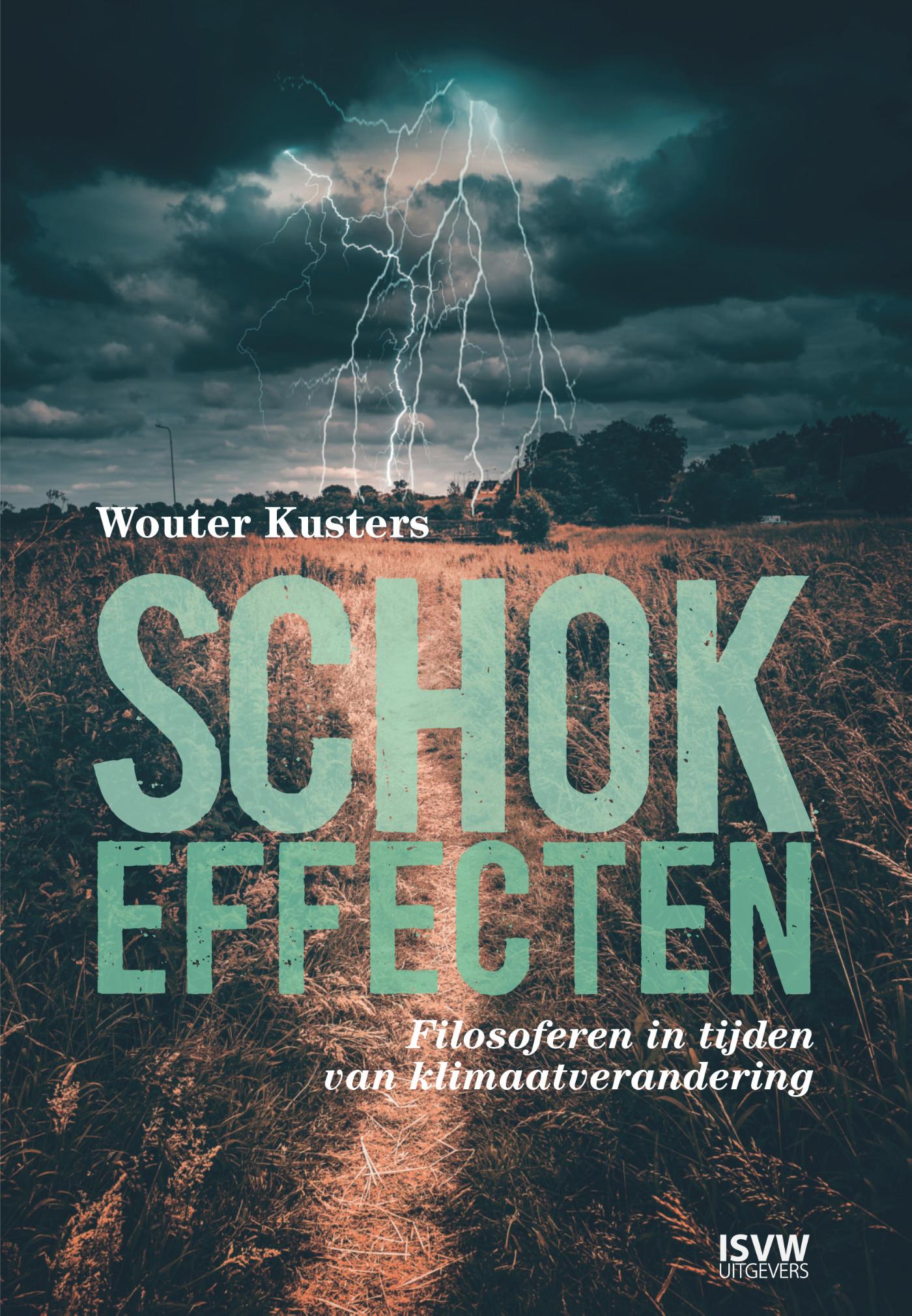 Omslag van Schokeffecten