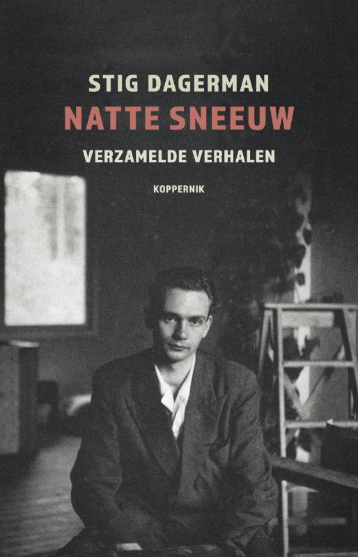 Omslag van Natte sneeuw