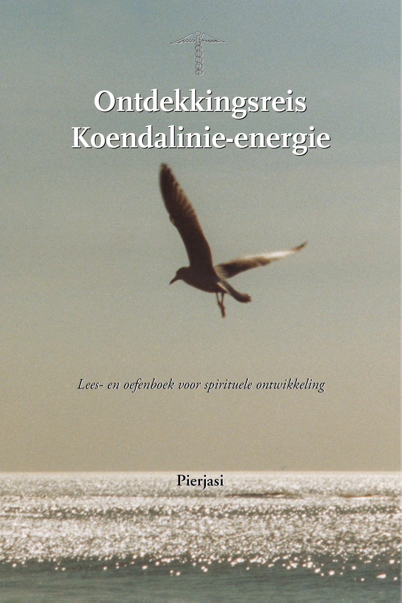 Omslag van Ontdekkingsreis Koendalinie-energie