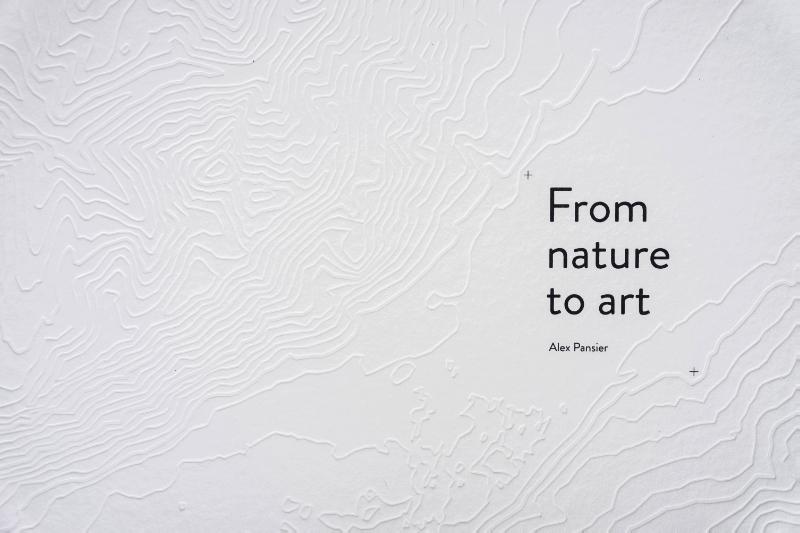 Omslag van From nature to art