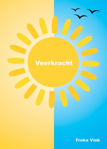 Omslag van Veerkracht