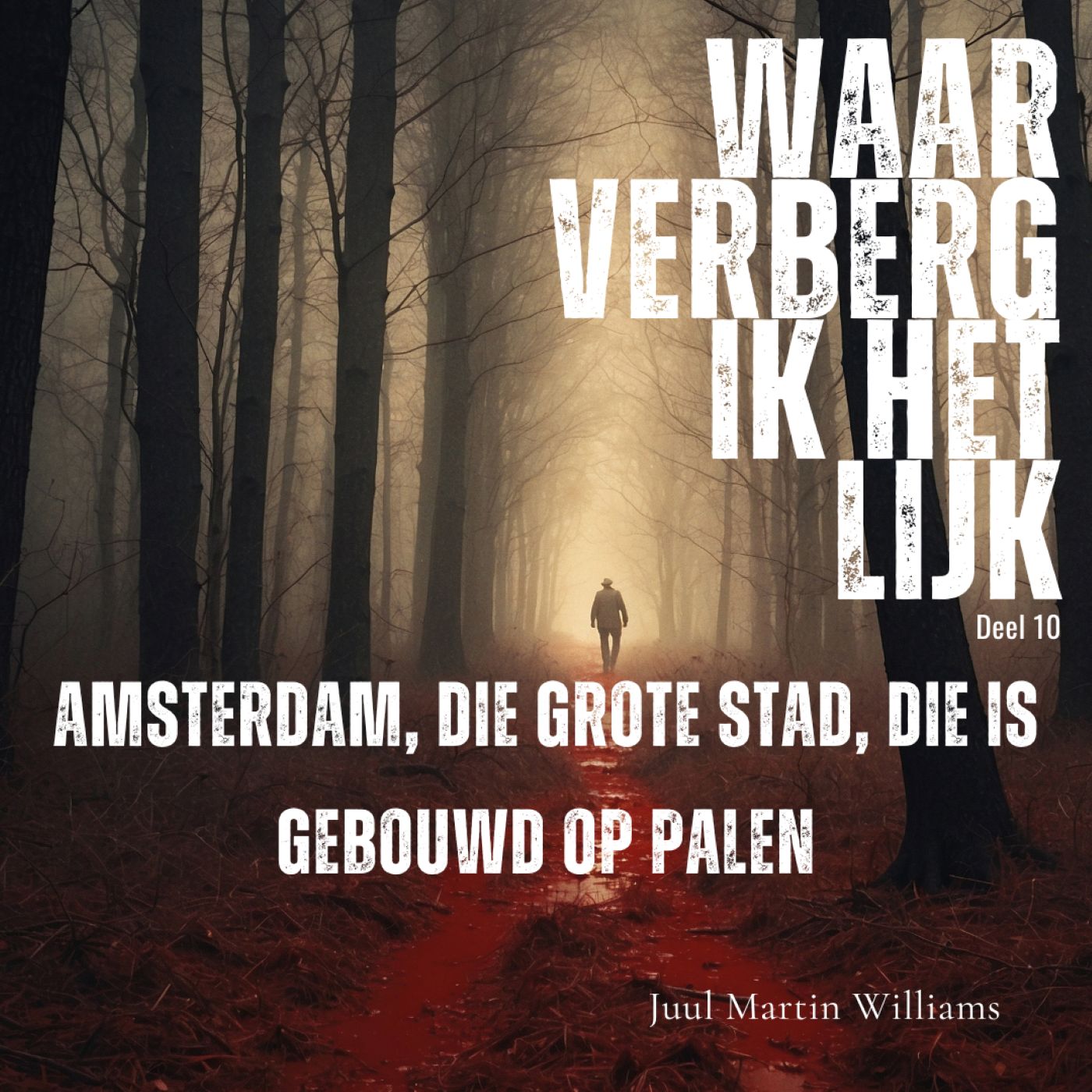 Omslag van Amsterdam, die grote stad, die is gebouwd op palen